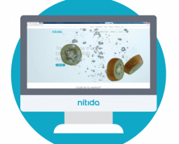 ¡BIENVENIDOS A LA NUEVA WEB DE NÍTIDA!
